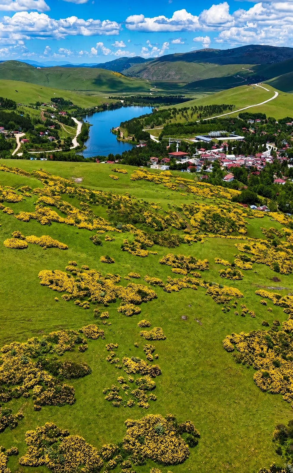 Fotoğraf